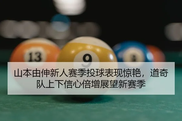 shan-ben-you-shen-xin-ren-sai-ji-tou-qiu-biao-xian-jing-yan-dao-qi-dui-shang-xia-xin-xin-bei-zeng-zhan-wang-xin-sai-ji-2-507.jpg